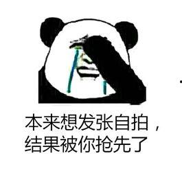 如何搞笑回复爱自拍